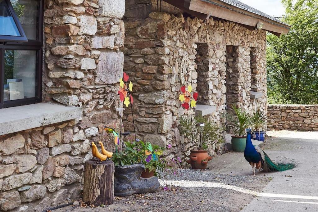 Kingsford Renovated Old Cottage Wexford Exterior foto
