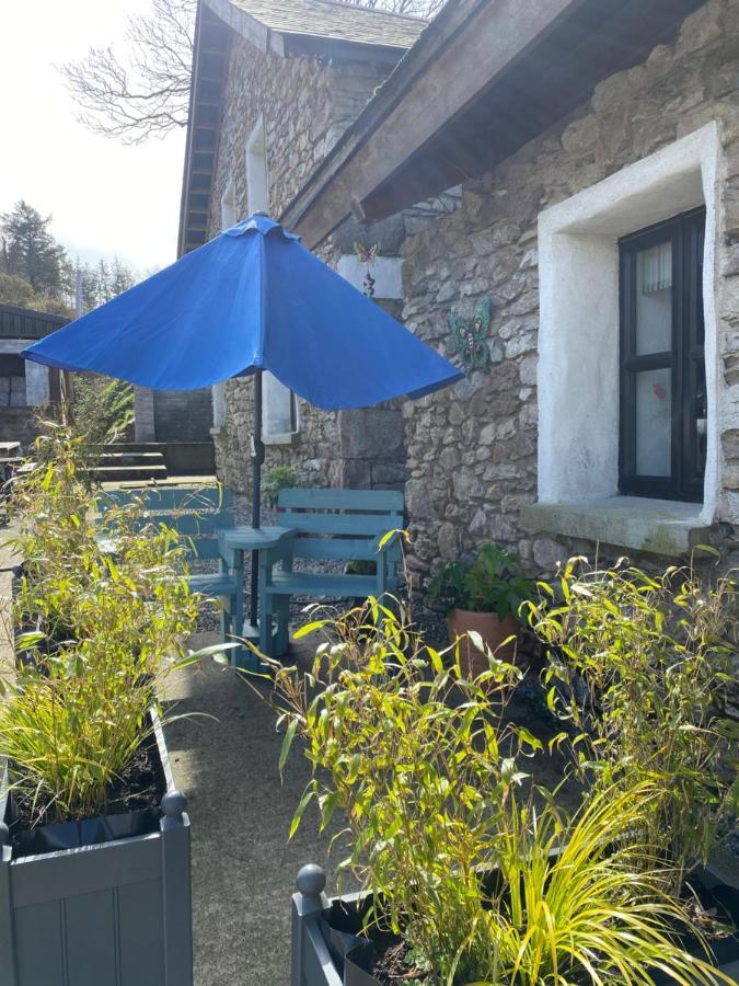 Kingsford Renovated Old Cottage Wexford Exterior foto